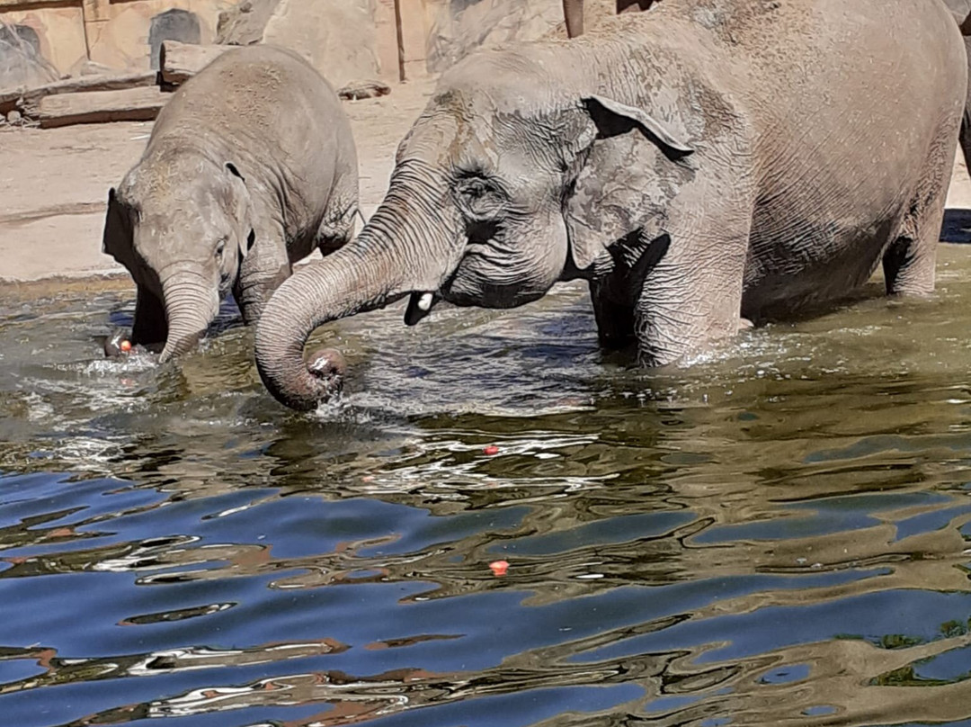 Zoo Leipzig-莱比锡必去景点