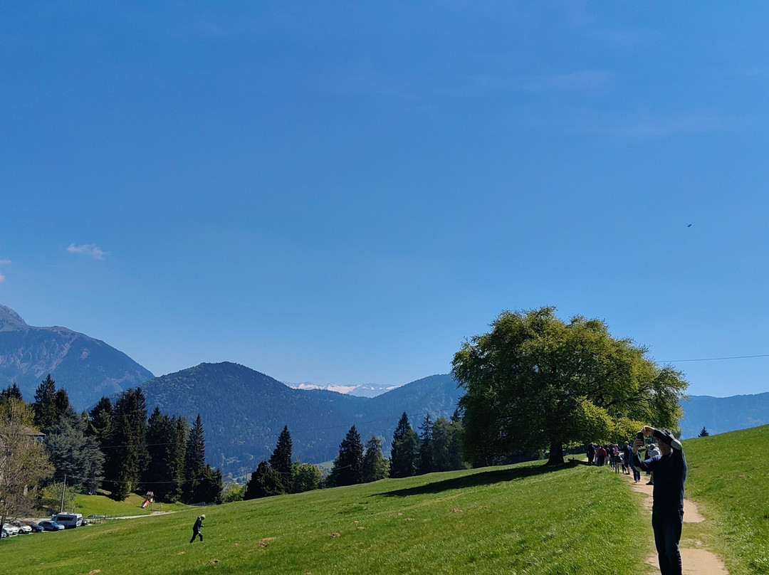 Passo della Presolana-Castione della Presolana必去景点