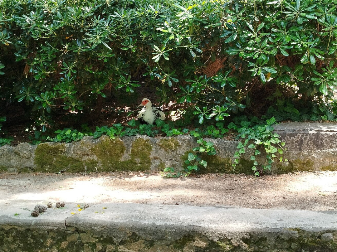 Rodini Park-罗德斯必去景点