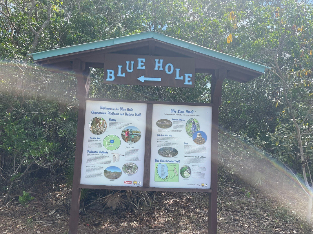 Blue Hole-Big Pine Key必去景点