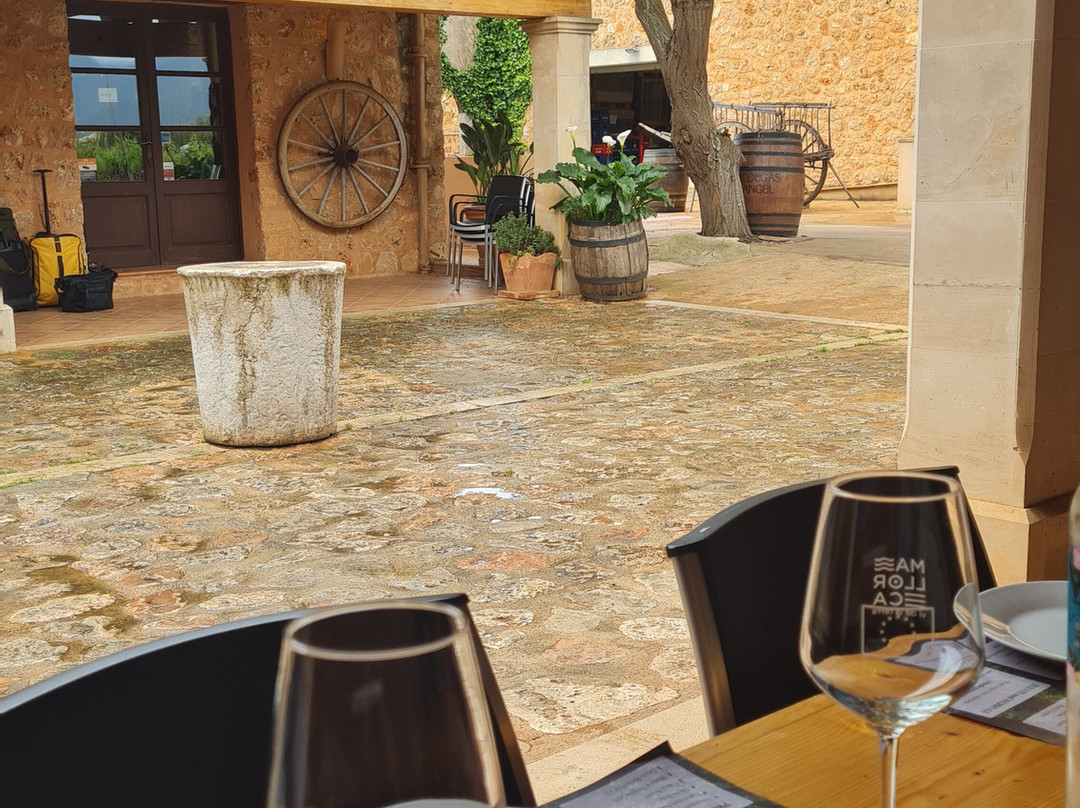 Bodegas Angel-Santa Maria del Cami必去景点