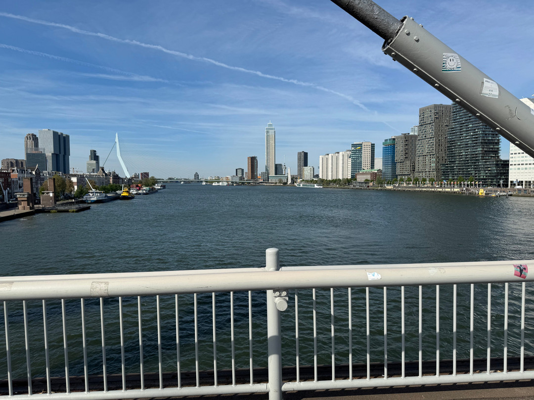 Willemsbrug-鹿特丹必去景点