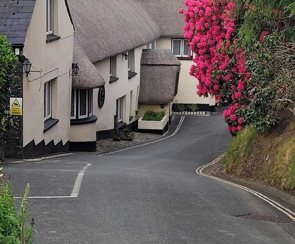 伍德福德桥乡村民宿主图
