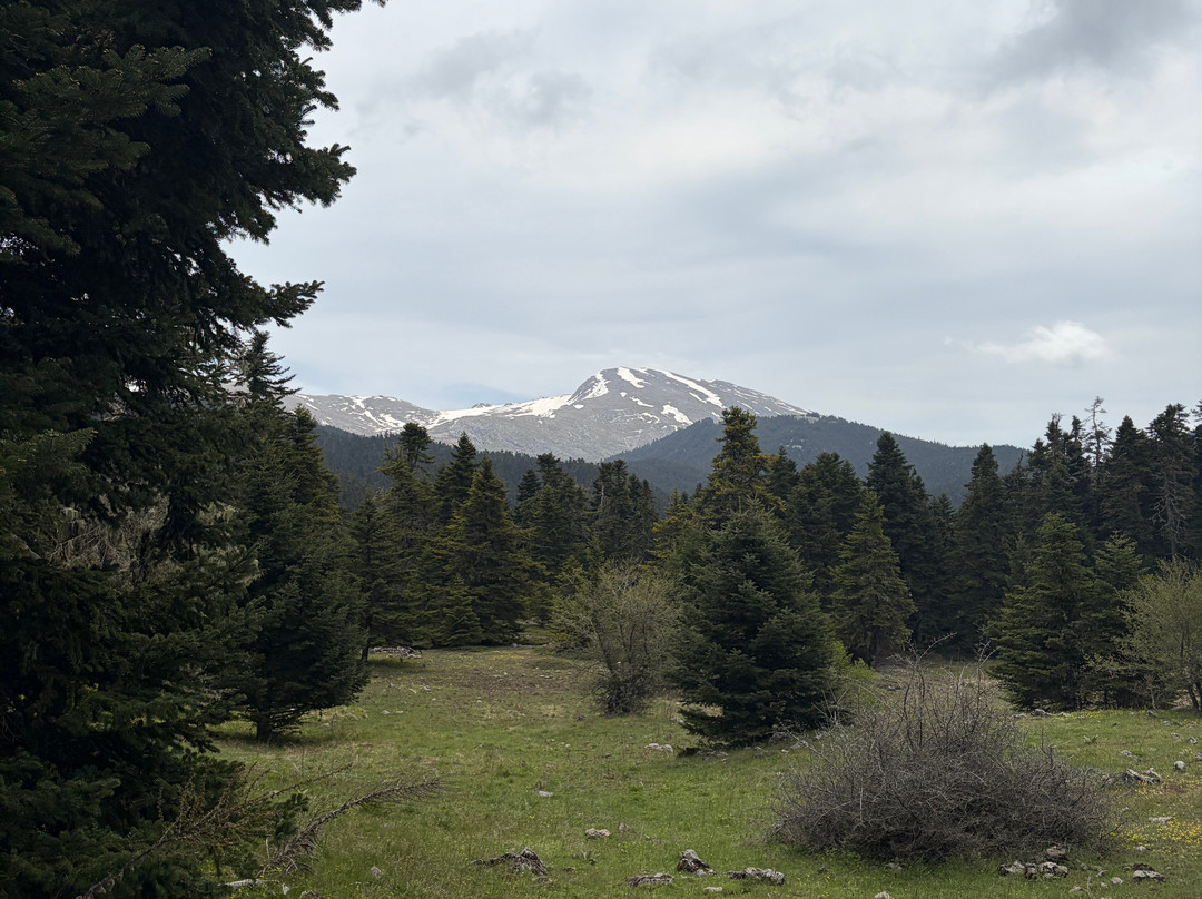 Trekking Hellas Delphi-德尔斐必去景点