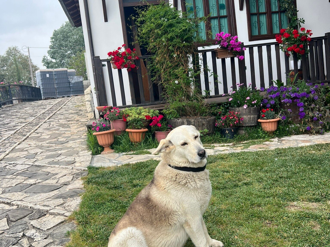Cobo Winery-Ura Vajgurore必去景点