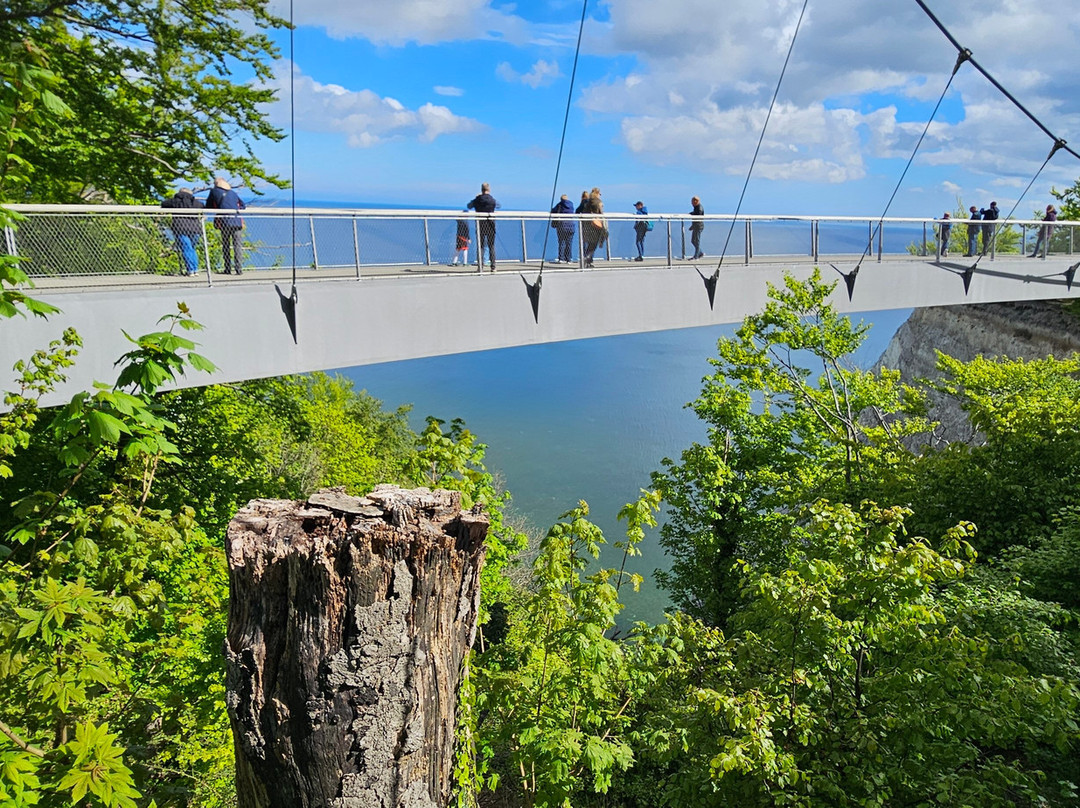 Nationalpark Jasmund-萨斯尼茨必去景点
