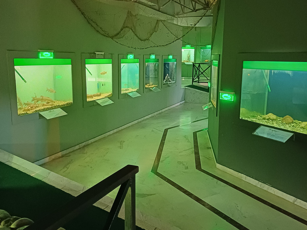 Kastoria Aquarium-卡斯托里亚必去景点