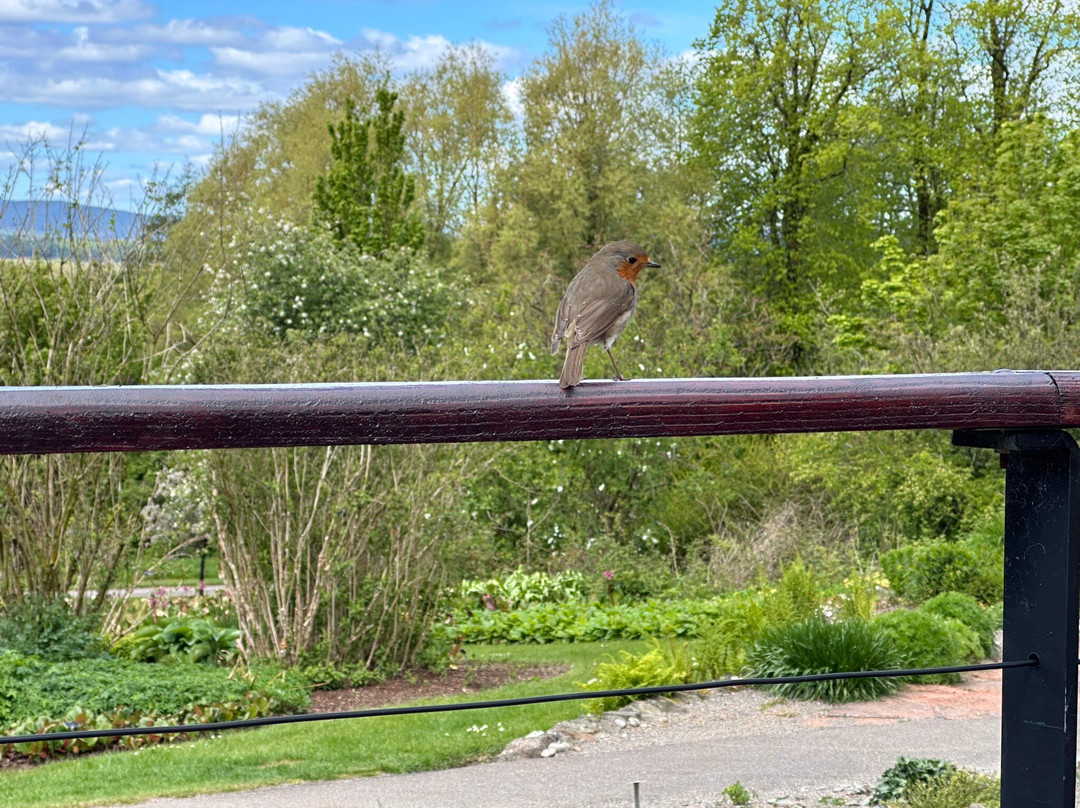 卡利宫酒店及高尔夫球场主图