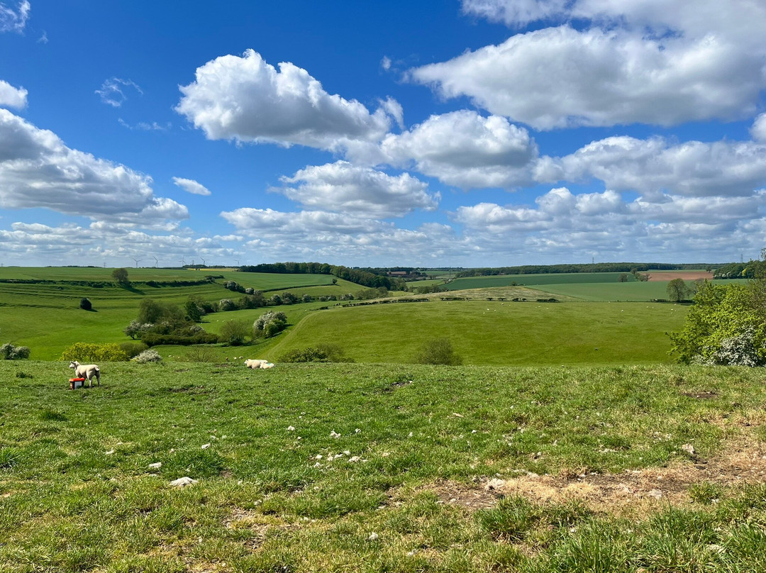 Towton Battlefield-Towton必去景点