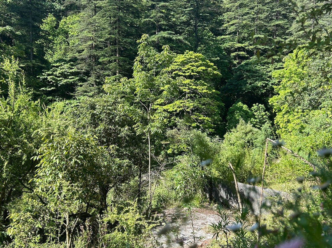 Benog Wildlife Sanctuary-马苏里必去景点