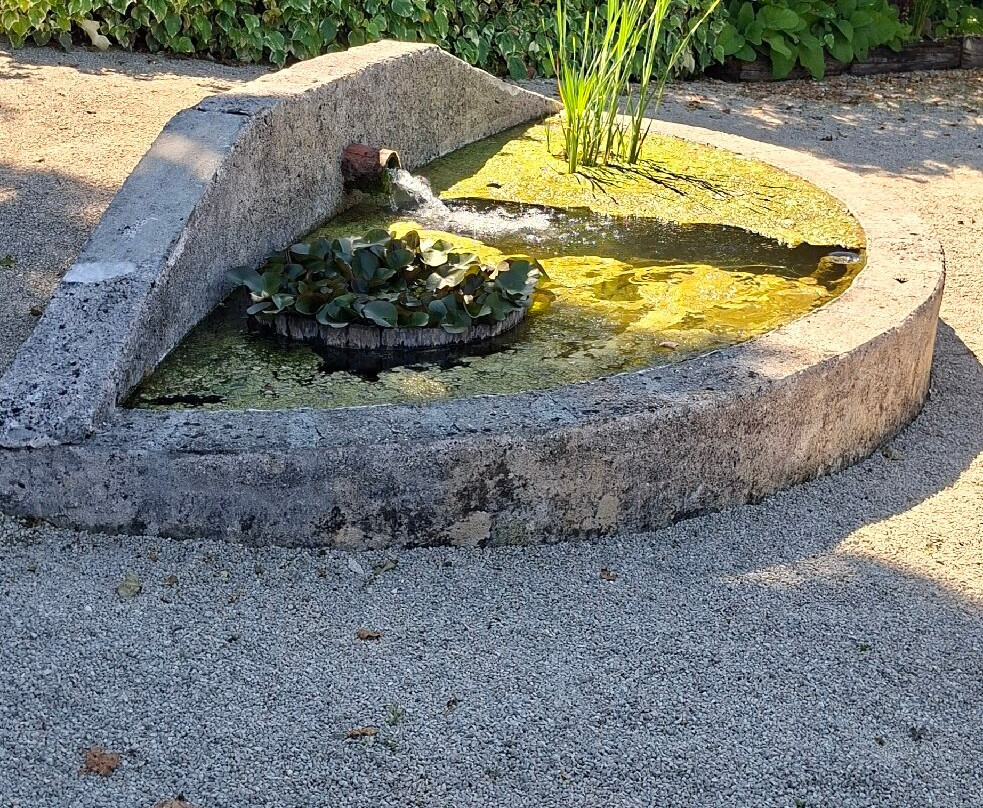 Les Jardins de Coursiana-La Romieu必去景点