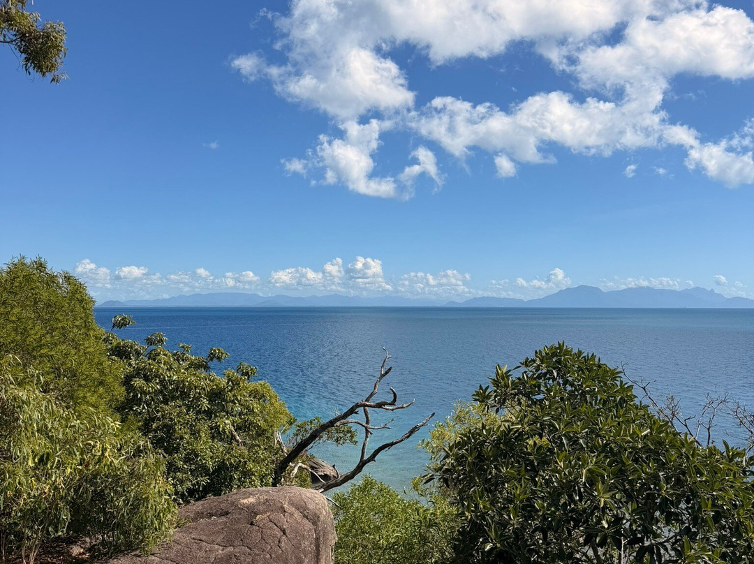SeaLink Queensland - Magnetic Island Ferry Services-汤斯维尔必去景点