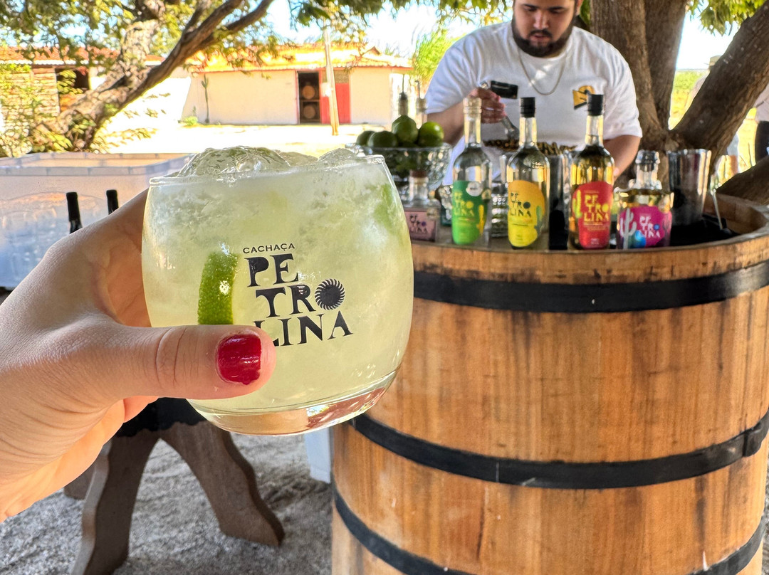 Cachaça Petrolina - Destilaria e Passeio