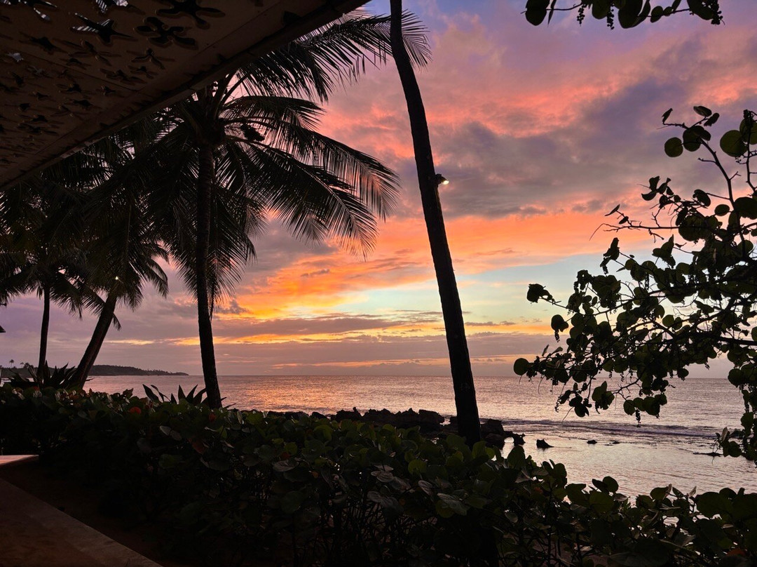 Dorado Beach, A Ritz-carlton Reserve-多拉多必去景点