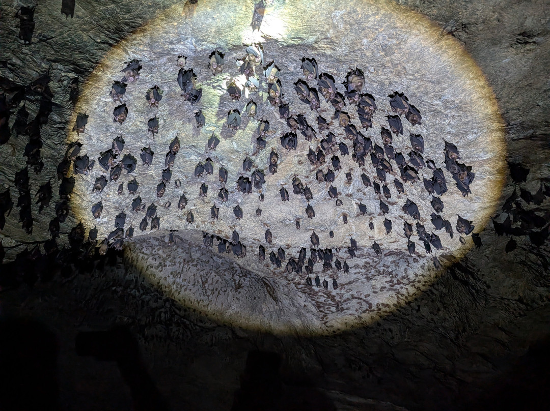 兰卡威巴德红树林之旅-珍南海滩必去景点