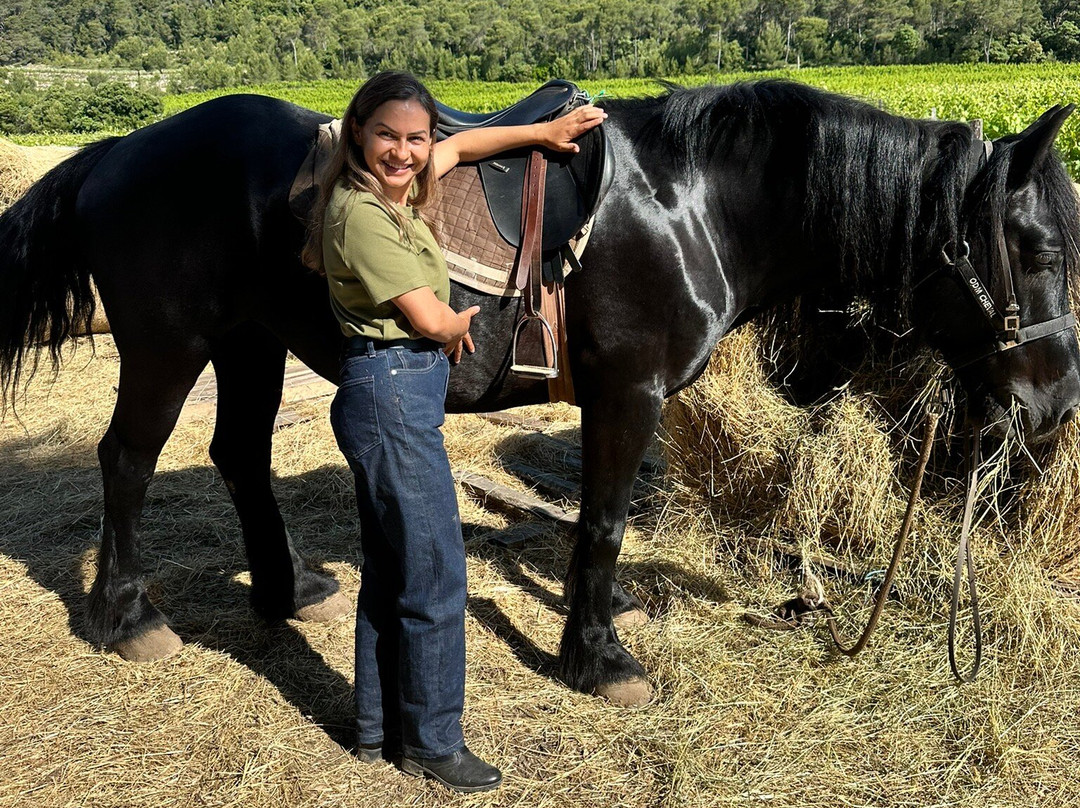 Horse Aventure-Saint-Bauzille-de-Montmel必去景点
