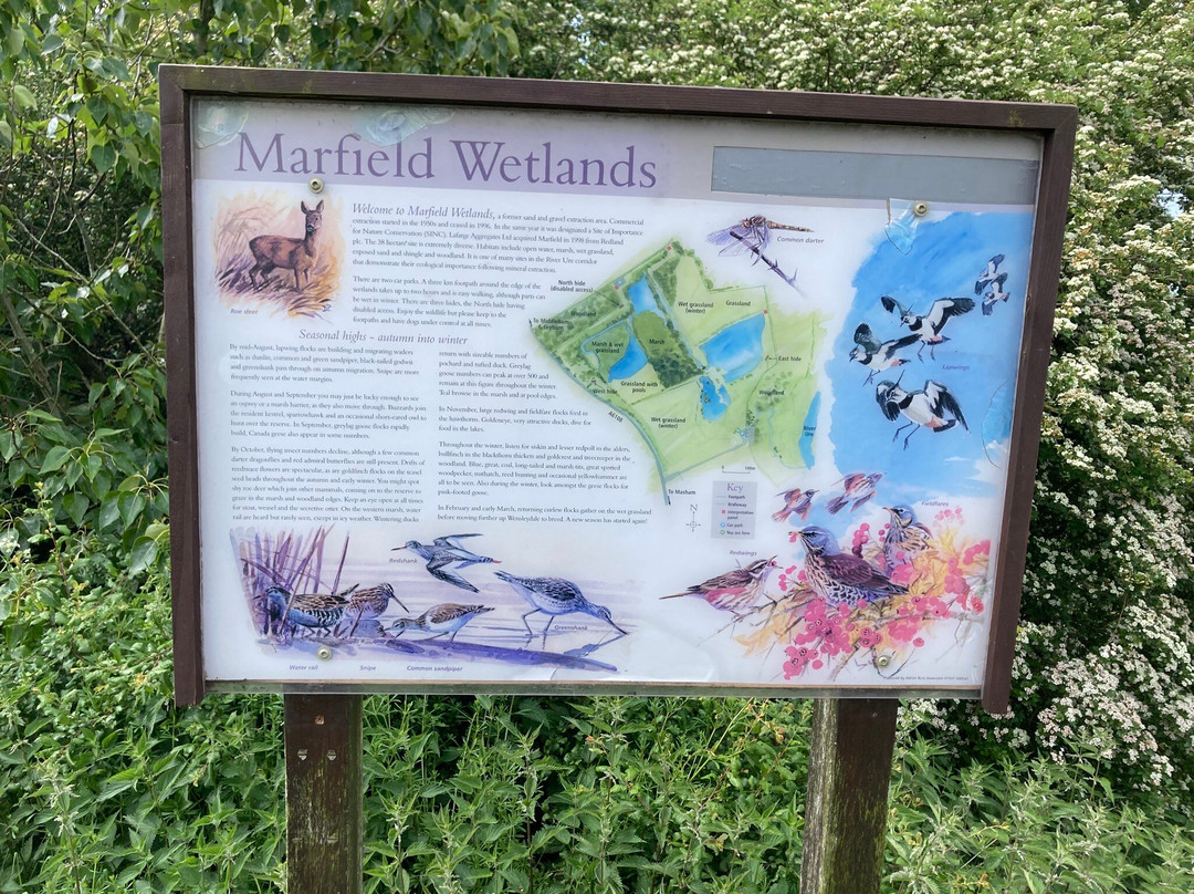Marfield Wetlands Nature Reserve-马沙姆必去景点
