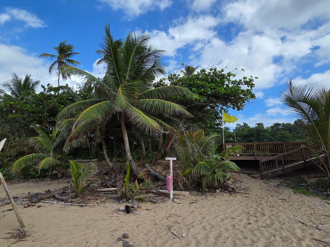 Sandy Beach East-吕康必去景点