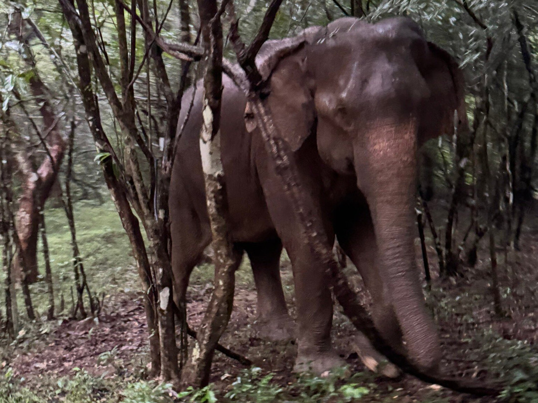 Chauffeur Sri Lanka by Dohansa Lanka Tours-尼甘布必去景点