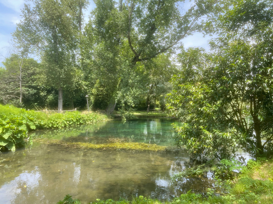 The River