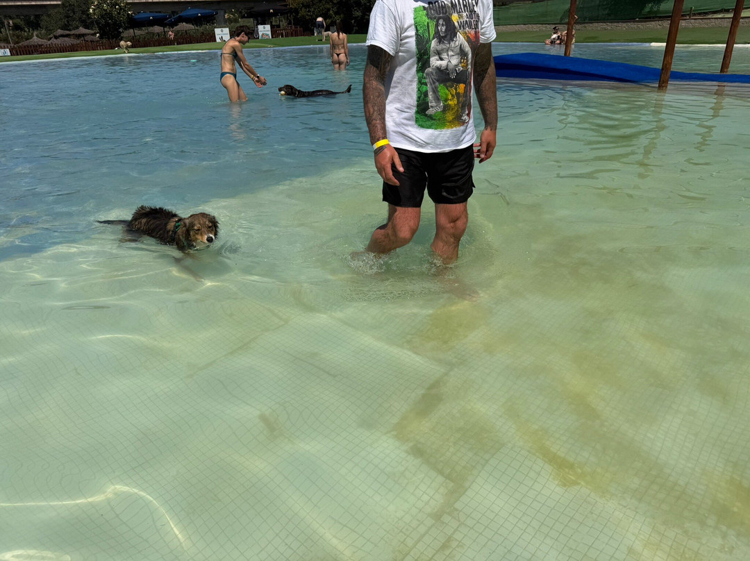 Aquapark Canino Perros Al Agua-拉罗卡德尔瓦列斯必去景点