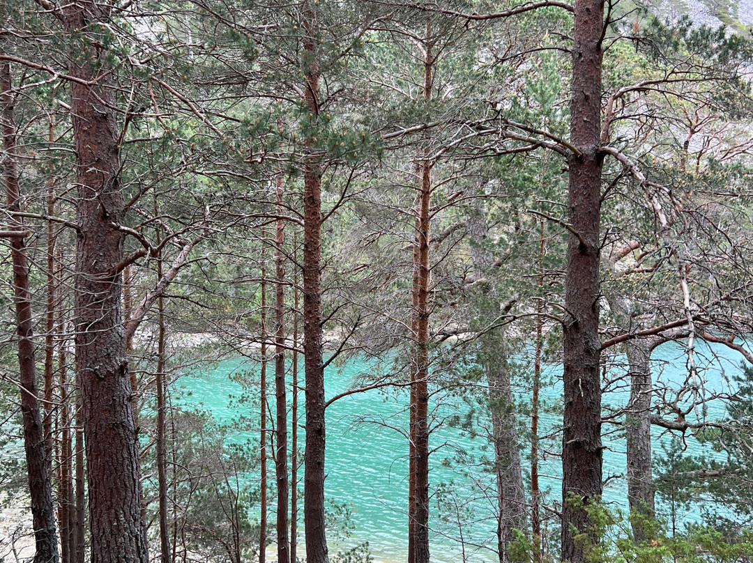 An Lochan Uaine-阿维莫尔必去景点