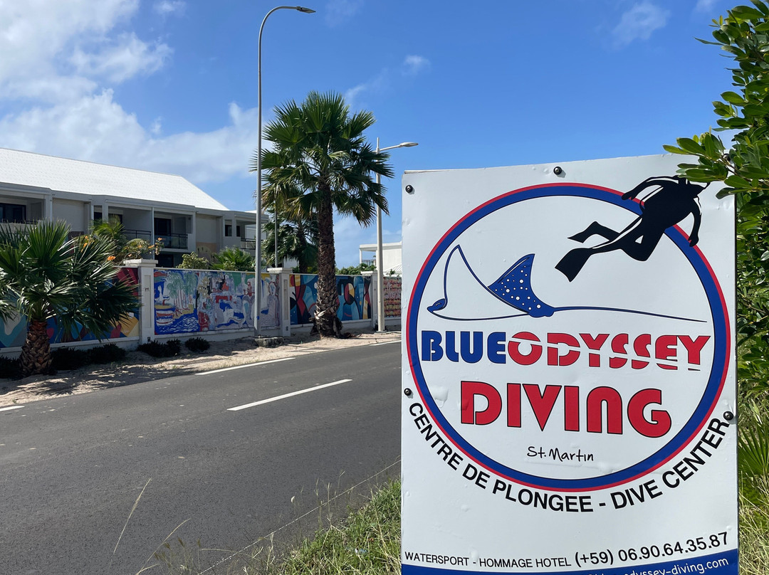 Blue Odyssey Diving-Marigot必去景点