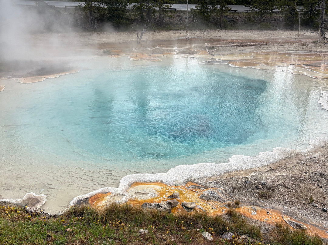 Yellowstone Wild-加德纳必去景点