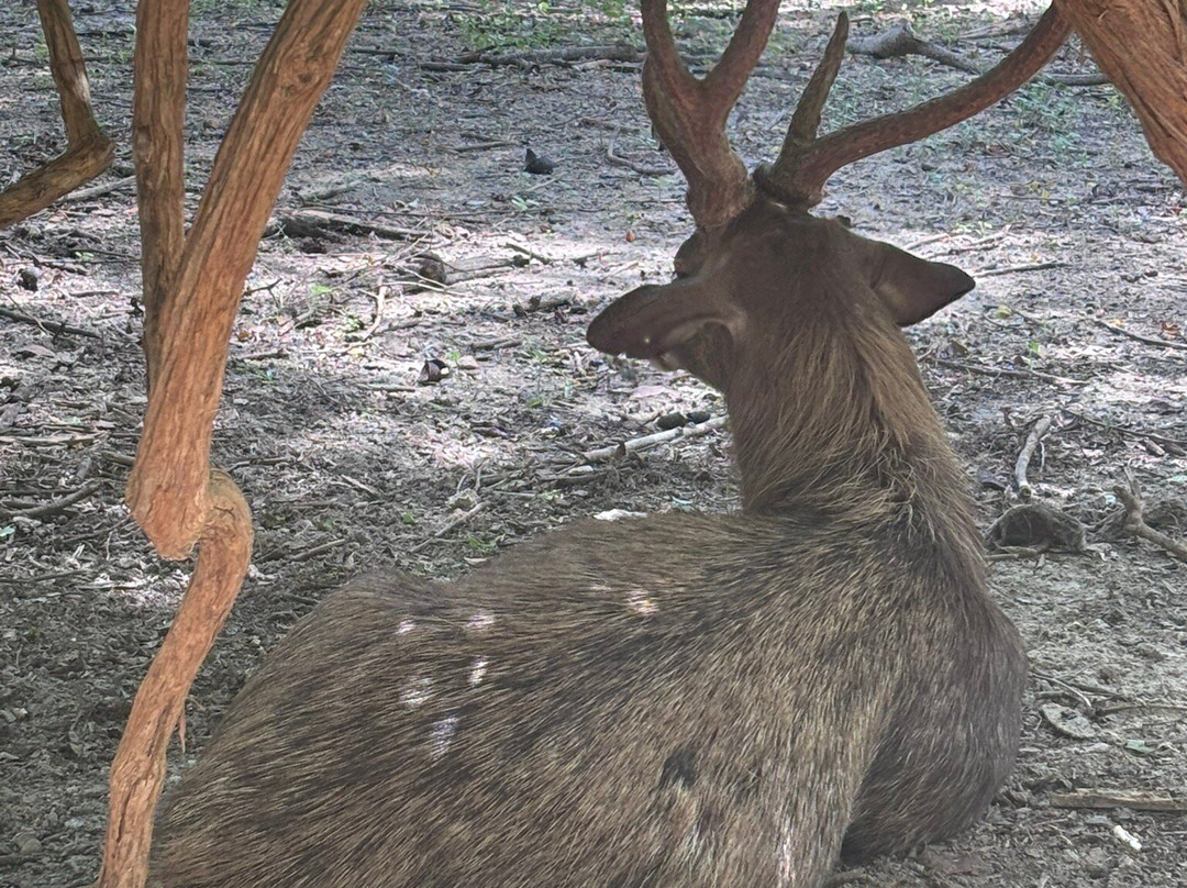 Wildlife Friends Foundation Thailand-他央必去景点