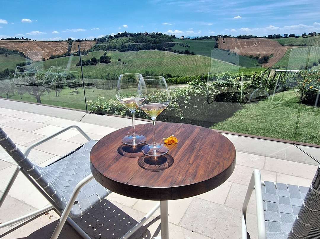 Filodivino