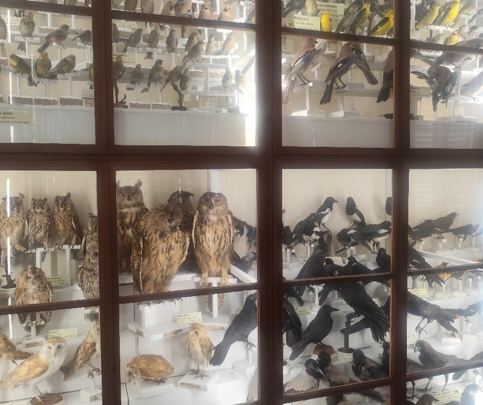 Museo di Storia Naturale dell'Accademia dei Fisiocritici-锡耶纳必去景点
