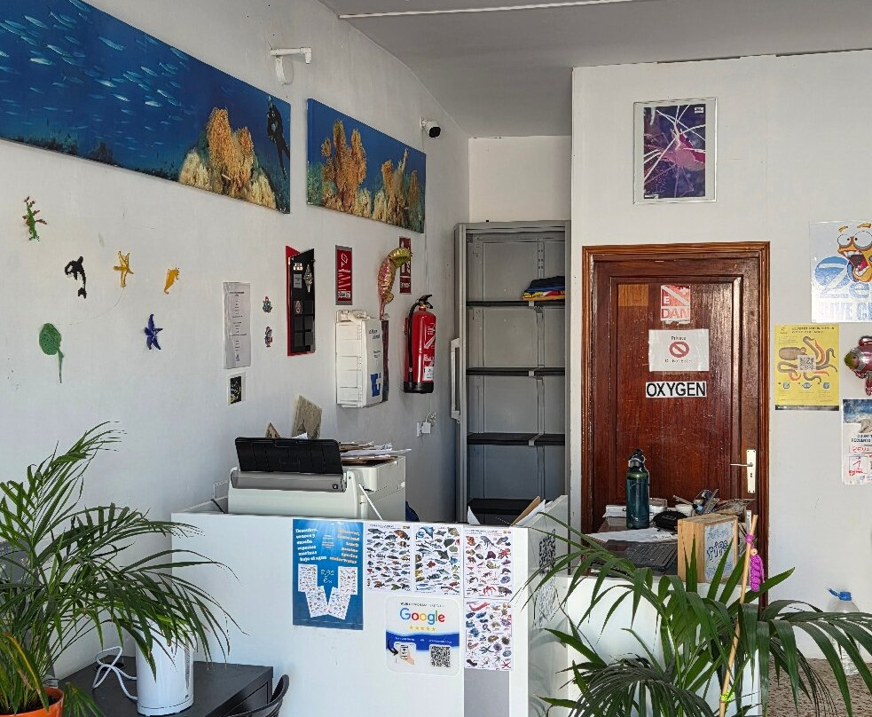 Zeus Dive Center Tenerife-Abades必去景点