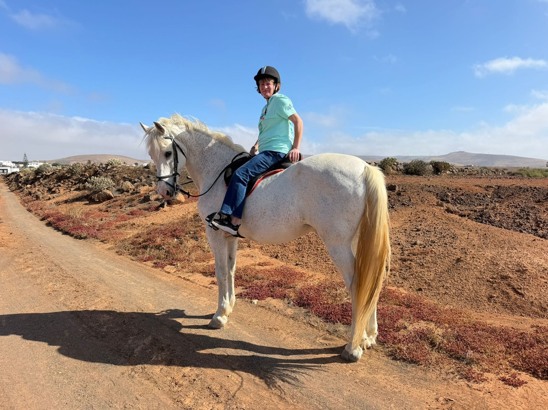 Horses Lanzarote-Teseguite必去景点