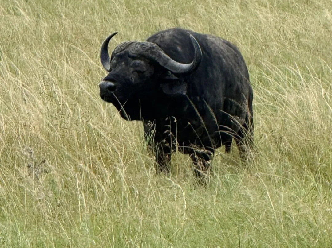 Destinations Kenya Safari-内罗毕必去景点
