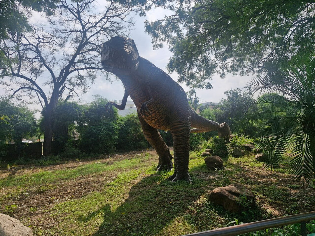 Indroda Nature Park-甘地纳加尔必去景点