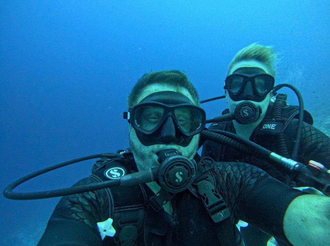Dive Point Zanzibar-Matemwe必去景点