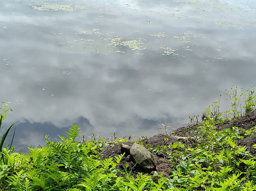 Parc National de Plaisance-Plaisance必去景点