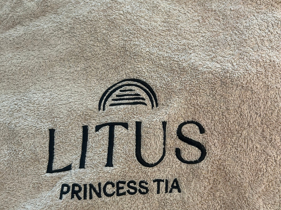 Princess TIA Hotel主图
