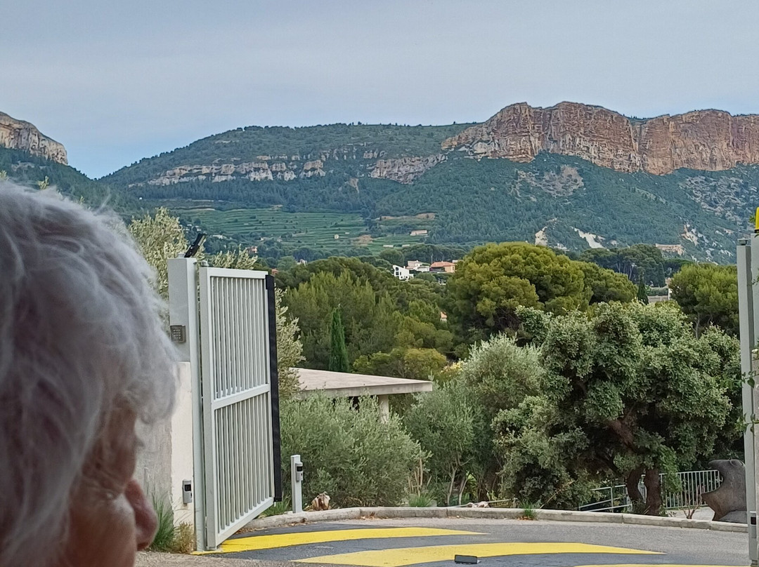 Le petit train touristique de Cassis - by FRANCE Voguette-卡西斯必去景点