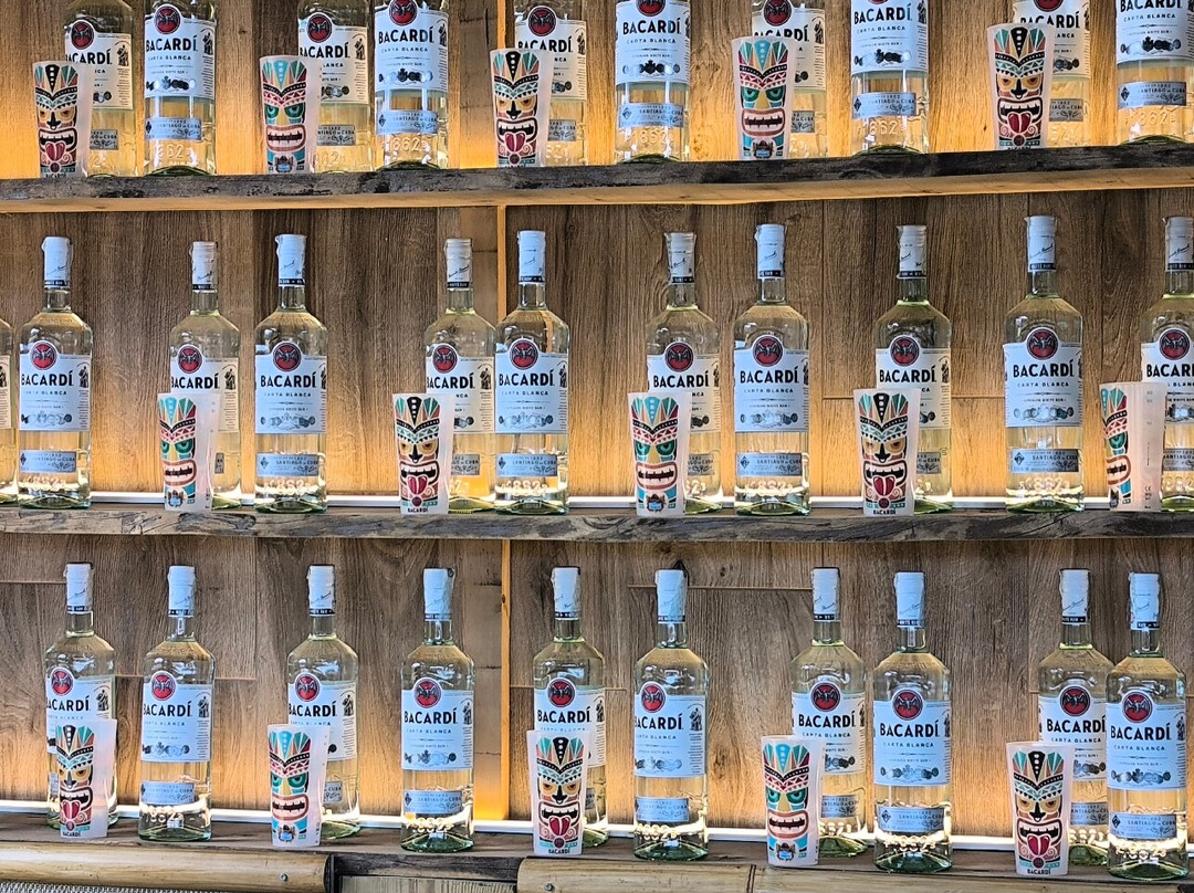 Acqua Village Cecina-Cecina必去景点