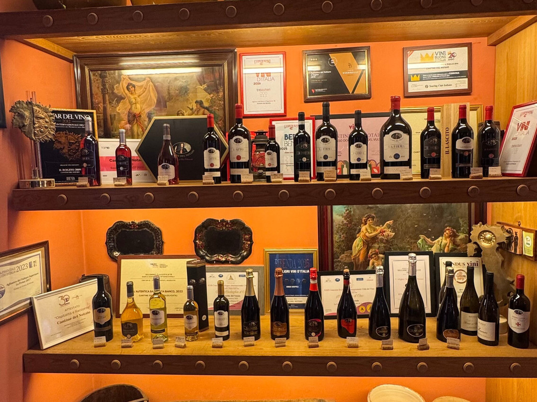 Cantine del Notaio-Rionero in Vulture必去景点