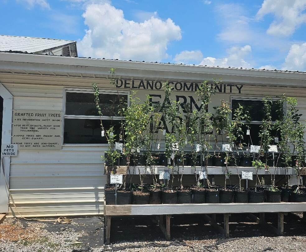 Delano Community Farm Market-Delano必去景点