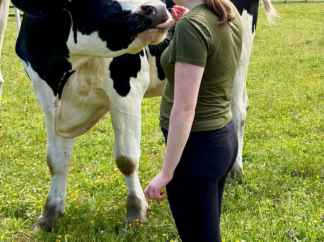 Catskill Animal Sanctuary-Saugerties必去景点
