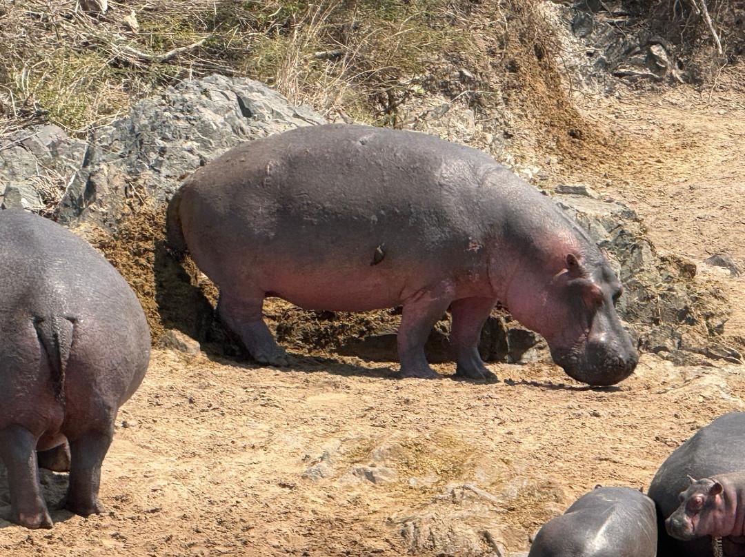 Zara Tanzania Adventures-莫西必去景点