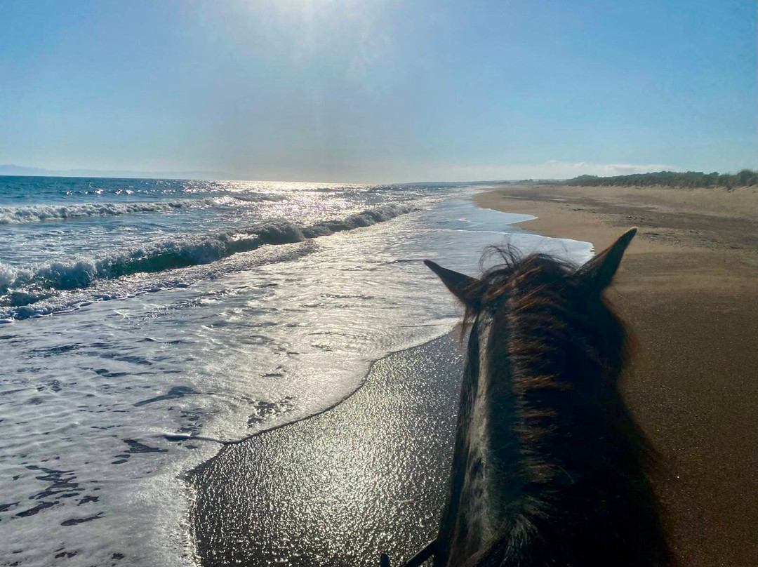 Elea Horse Riding-Elea必去景点