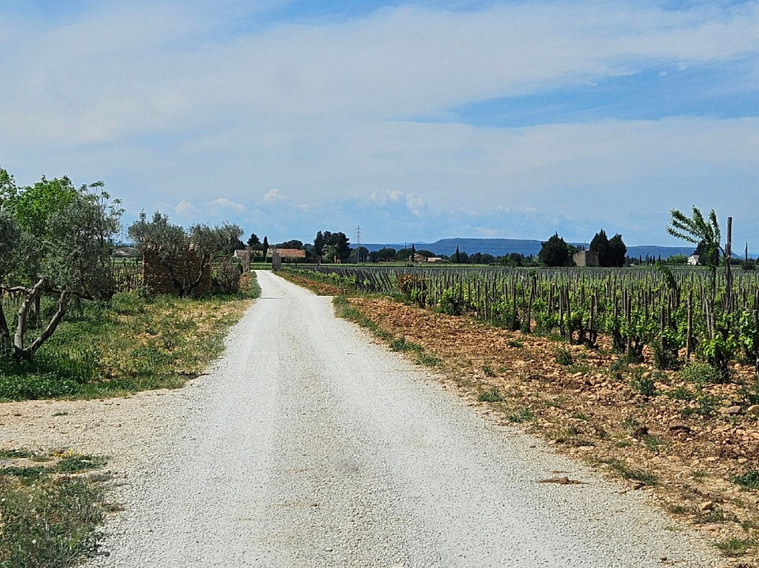 Chateau de Beaucastel-Courthezon必去景点