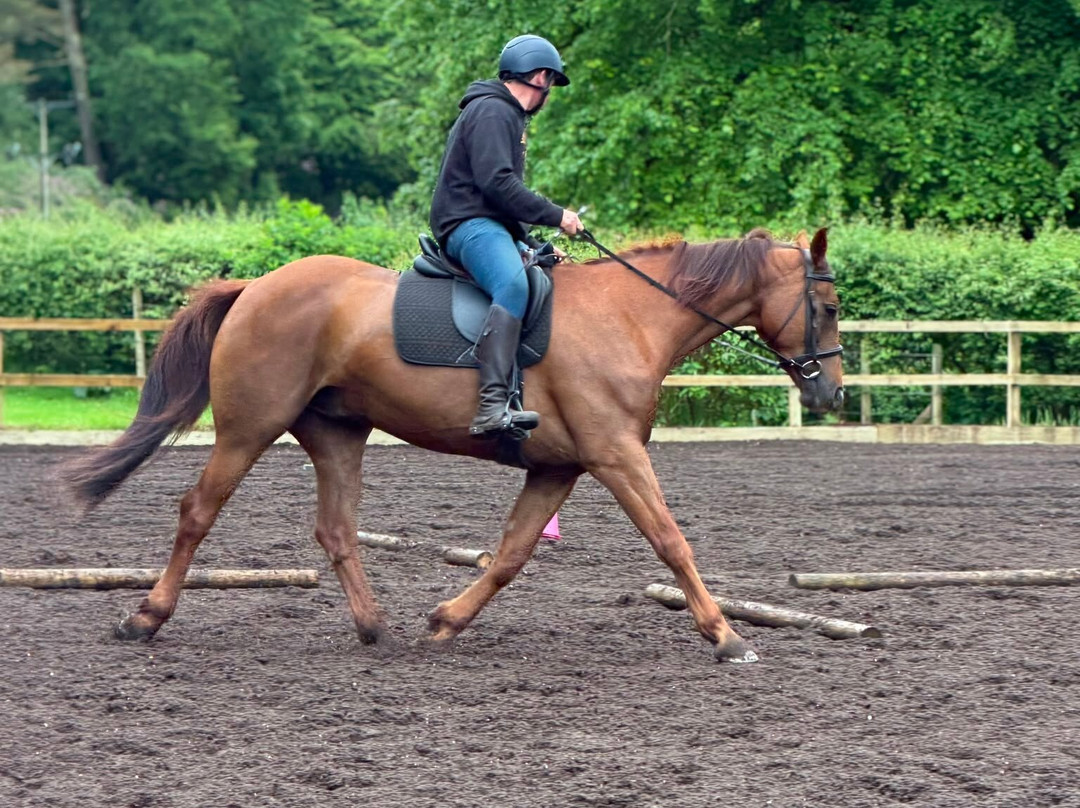 Lunga Riding Stables-Lochgilphead必去景点