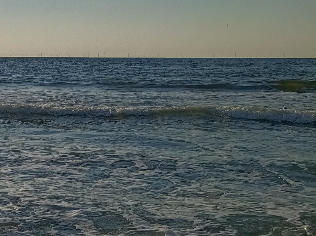 Honden strand Noordwijk-诺德韦克必去景点