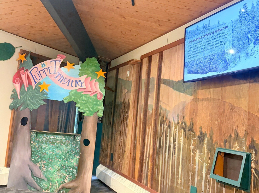 Lynn Canyon Ecology Centre-北温哥华必去景点