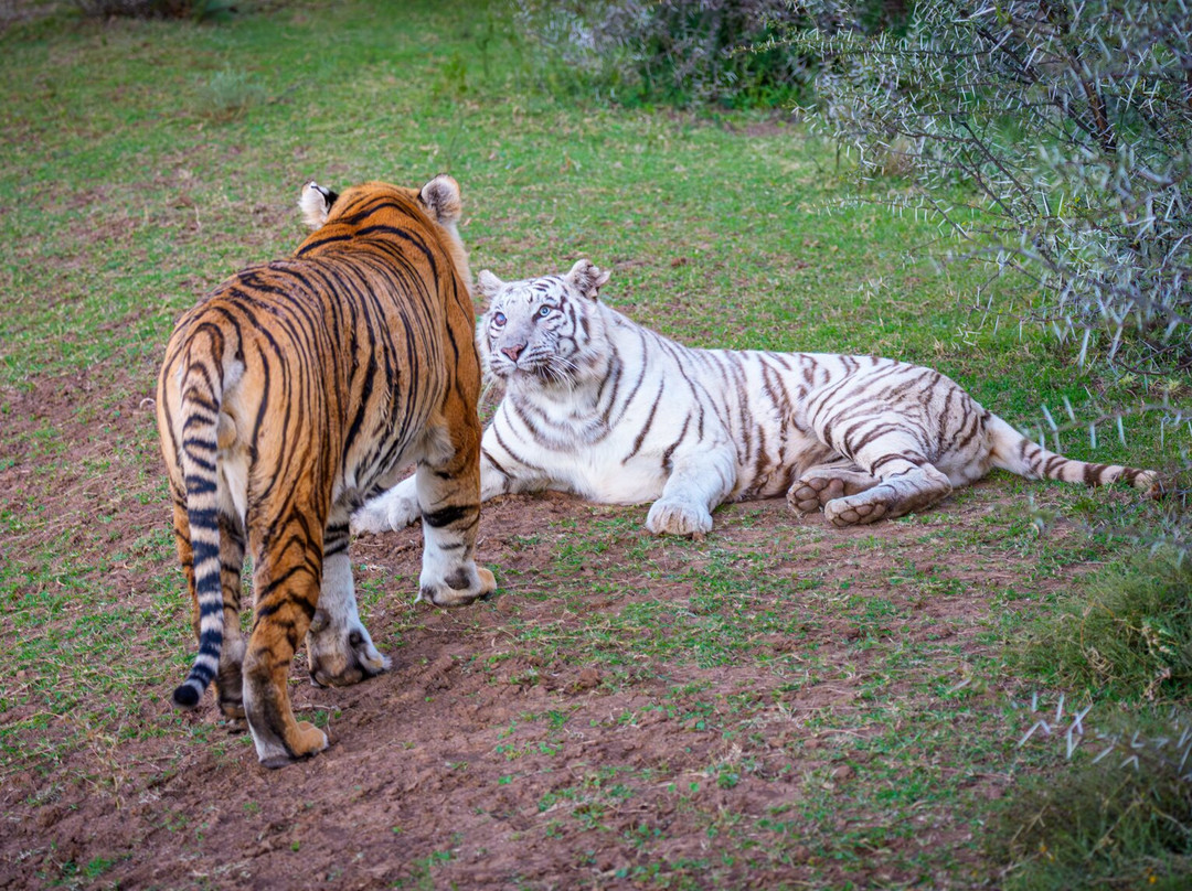 Kishindo Conservation Reserve-Philippolis必去景点